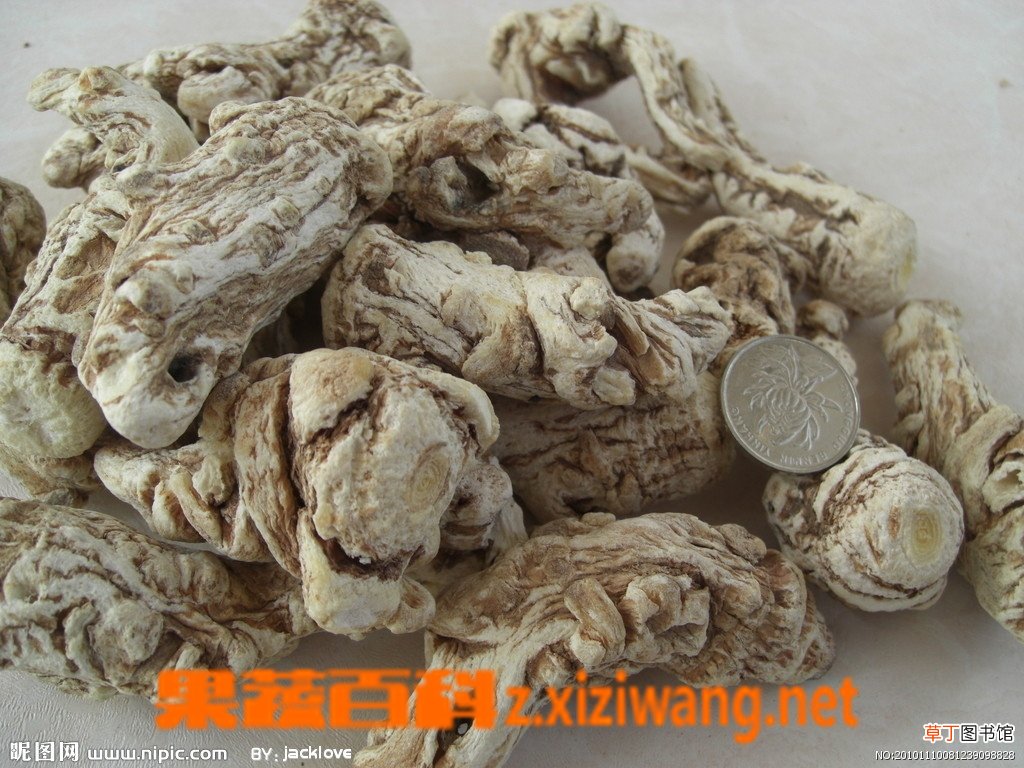 当归功效和作用