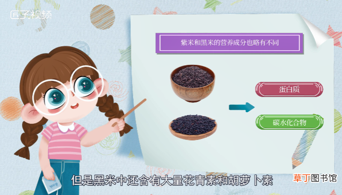 黑米和紫米有什么区别