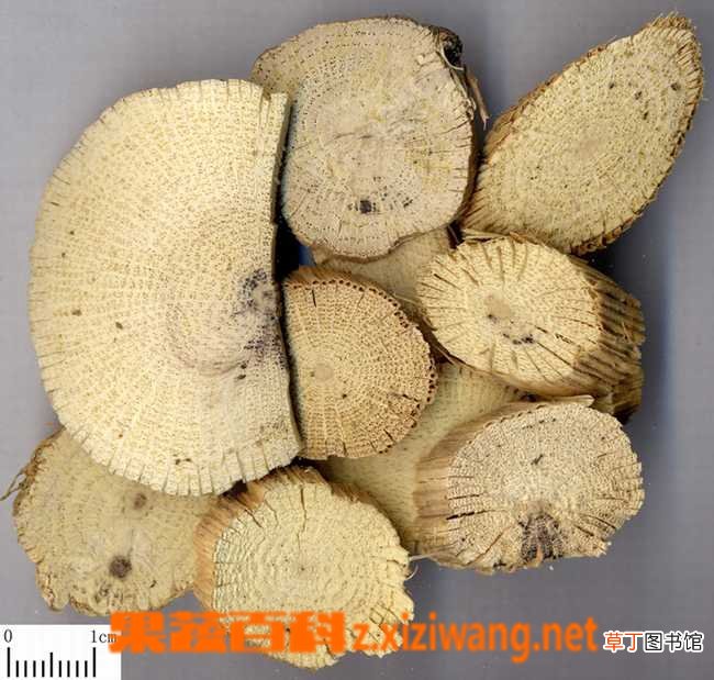 关木通的功效与作用