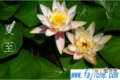 什么时候开始夏至日2022 2022年夏至几时