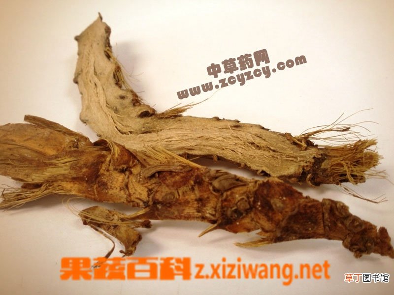 石菖蒲的药效