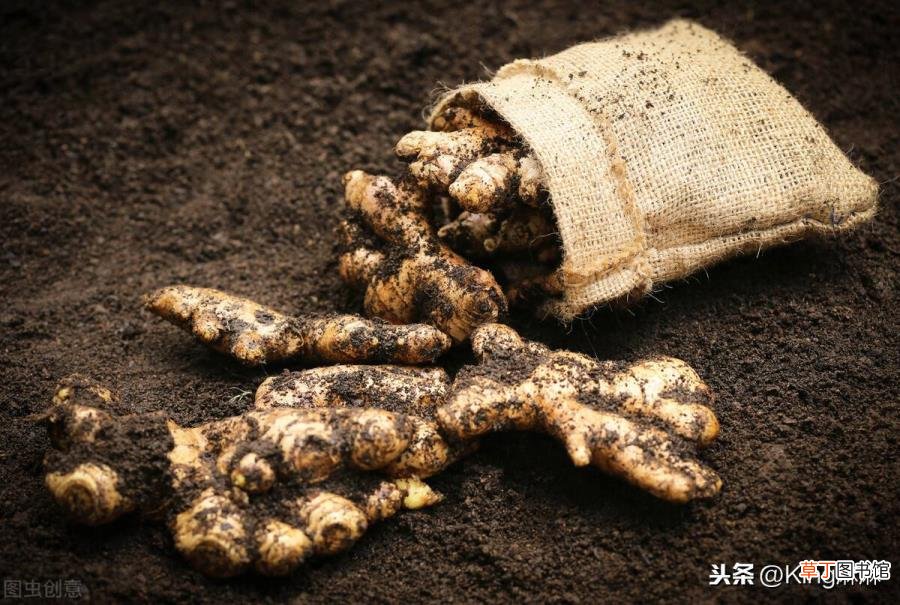 姜水熬多长时间加多少红糖 红糖姜水煮多久