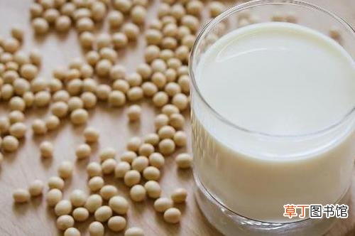 豆浆比例