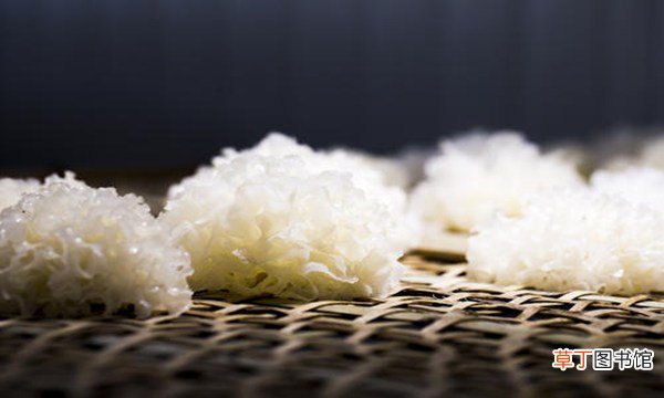 银耳泡发多久