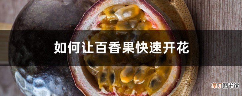 如何让百香果快速开花，种植多久才结果