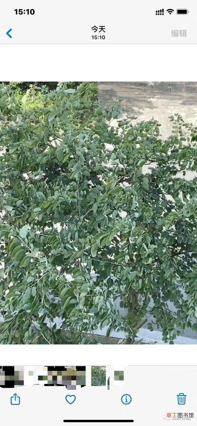 ins照片怎么保存 instagram怎么保存图片