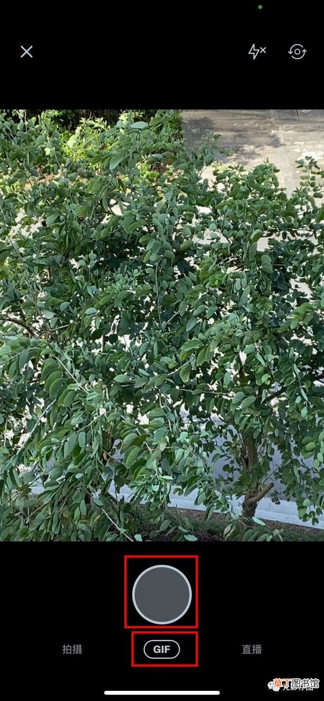 ins照片怎么保存 instagram怎么保存图片