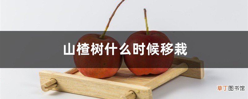 山楂树什么时候移栽，山楂树怎么移栽
