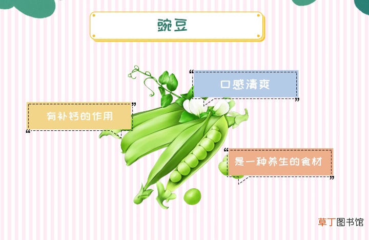 吃豌豆的禁忌