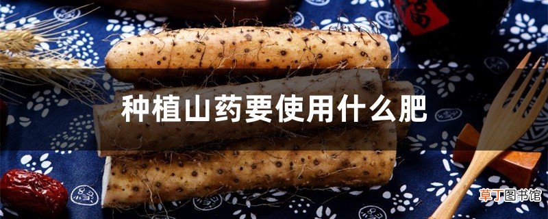 种植山药要使用什么肥,山药长粗用什么肥好