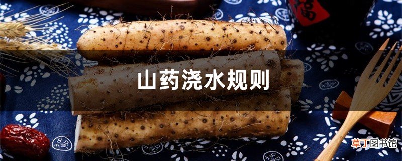 山药浇水规则，山药浇水什么时候是关键