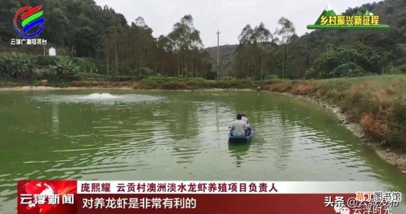 淡水虾养殖周期 龙虾养多久