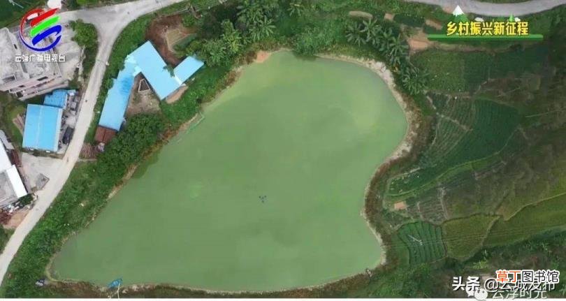淡水虾养殖周期 龙虾养多久