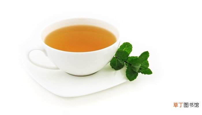 老白茶属于什么茶类