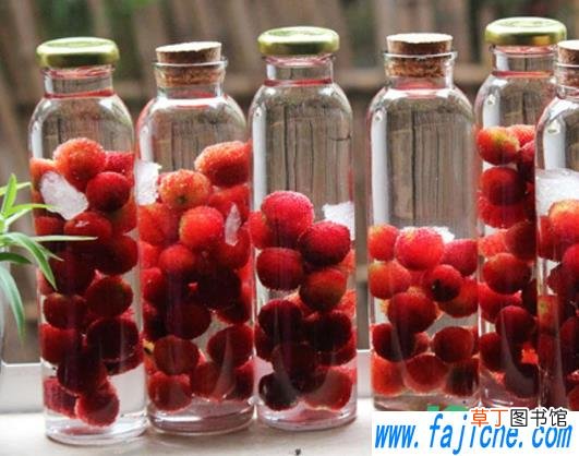 泡杨梅酒可以放什么药材 泡杨梅酒可以加入其它药材吗