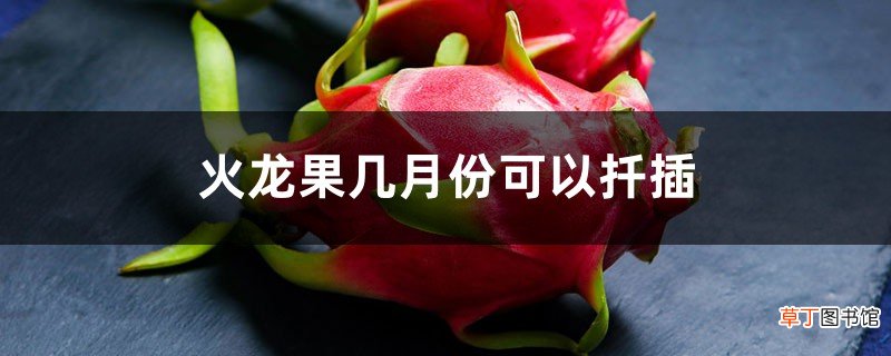 火龙果几月份可以扦插，扦插后要浇水吗