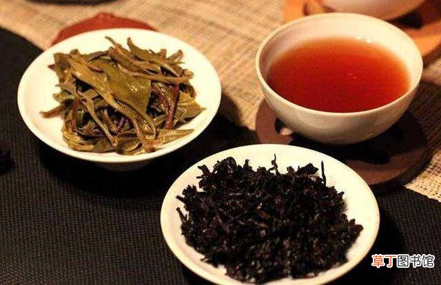 普洱属于什么茶类