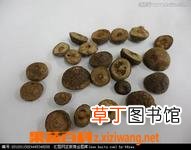 枳实的功效和作用