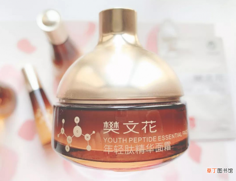 樊文花是什么档次