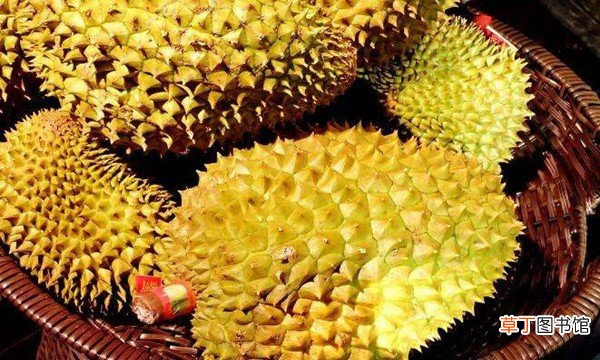 怎么挑选榴莲