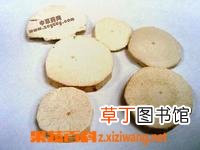 天花粉的作用