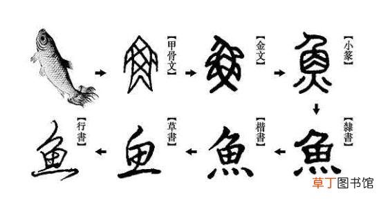汉字的来历