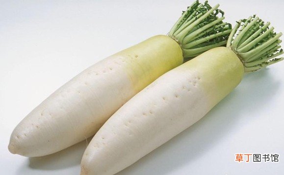根茎类蔬菜