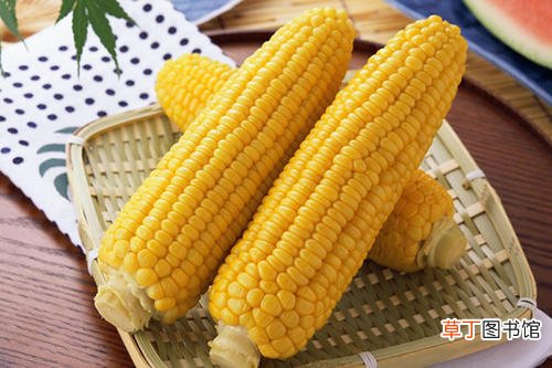 水果玉米和糯玉米区别
