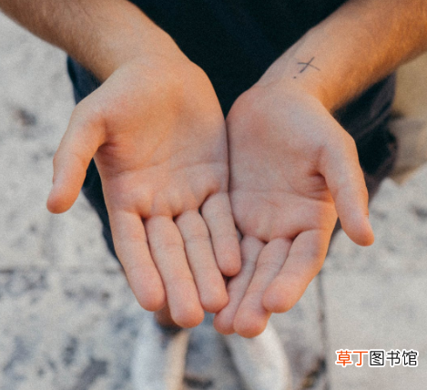 y纹是什么