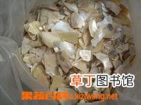 珍珠母的功效与作用