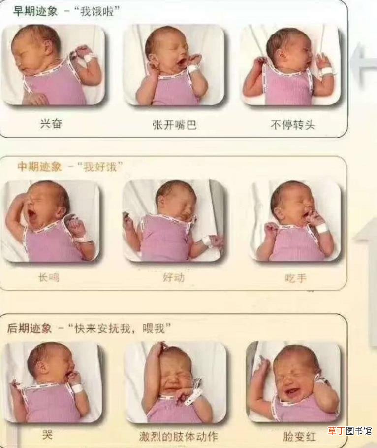 母乳不饱能马上吃奶粉吗 奶粉和母乳间隔多久吃