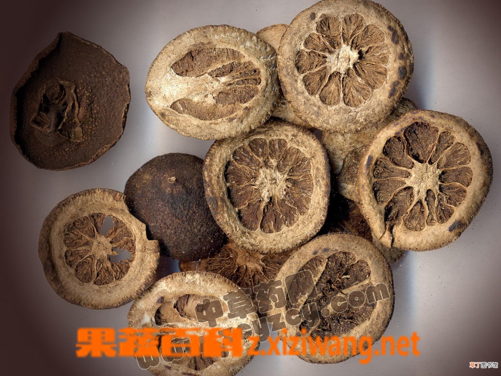 枳实的功效与作用