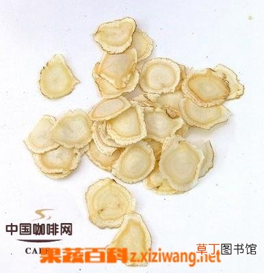 西洋参的功效