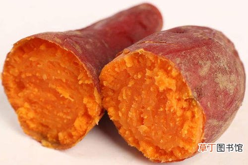 十大清肠排便的食物有哪些？