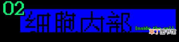 “毒王”拉姆达就来了 疫苗还能扛得住吗? 1传1500的德尔塔还没走