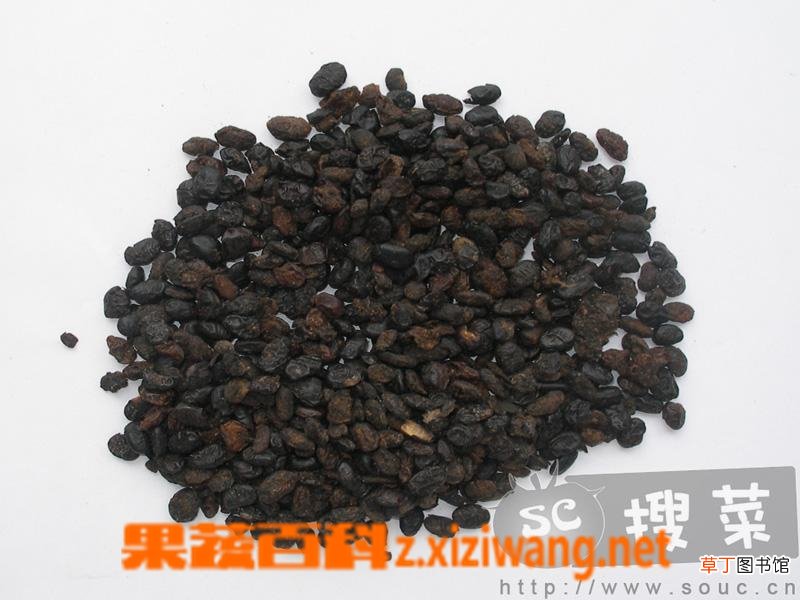 淡豆豉的功效与作用