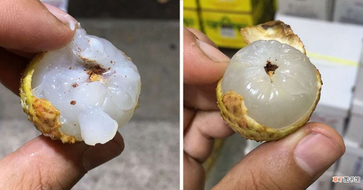 荔枝里面有虫子能吃吗