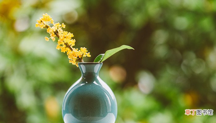 梦见桂花开花预示什么