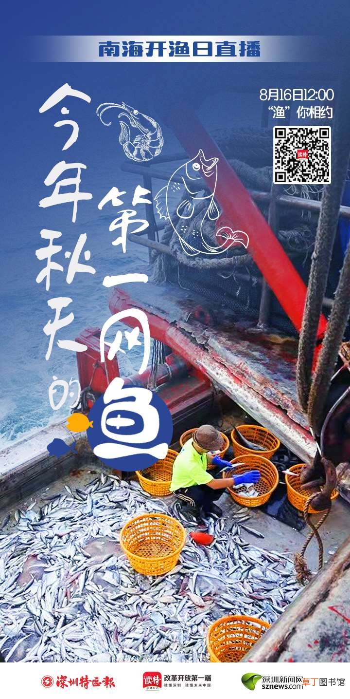 今天中午,读特“云开渔”！一起打捞秋天的第一网鱼