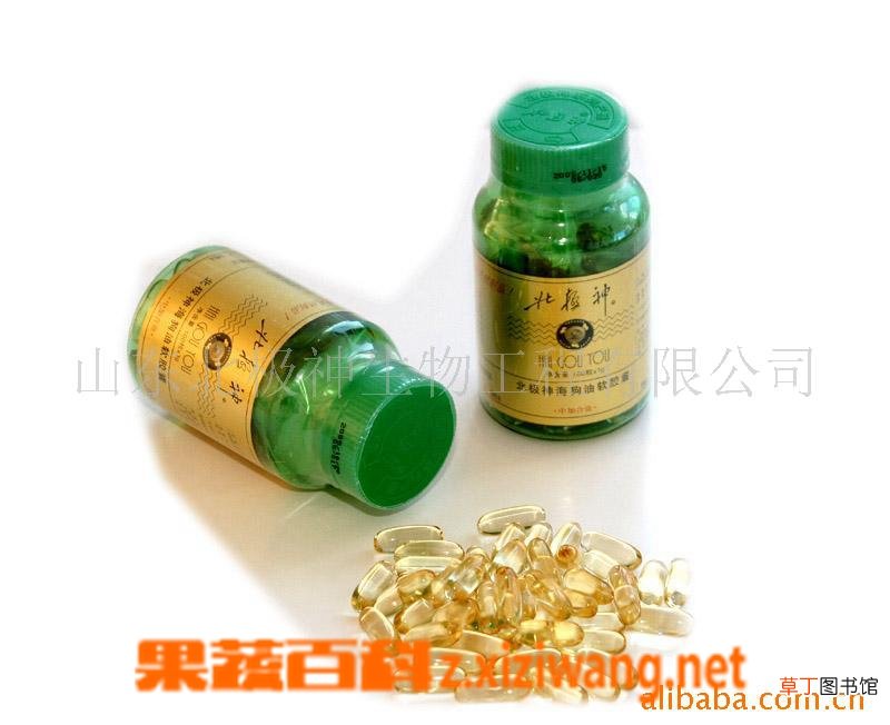 海狗油的功效与作用