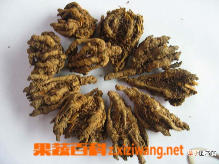 黄连素的副作用