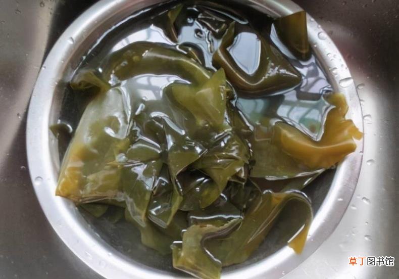 干海带必须泡24小时吗 海带能泡多久