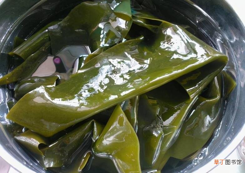 干海带必须泡24小时吗 海带能泡多久