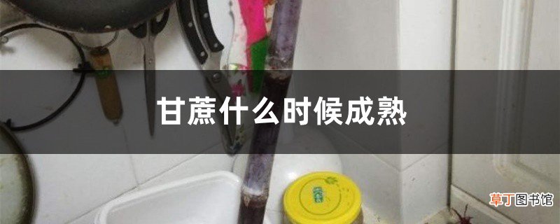 甘蔗什么时候成熟，什么时候种