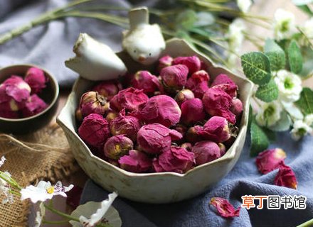 芍药花怎么种植