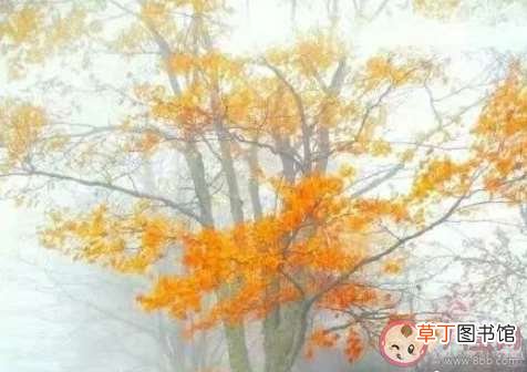 年轻人该拼命一点还是佛系一点 要活到老奋斗到老还是佛系面对