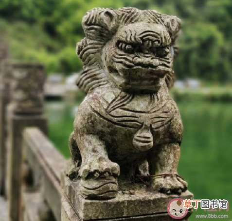 年轻人该拼命一点还是佛系一点 要活到老奋斗到老还是佛系面对