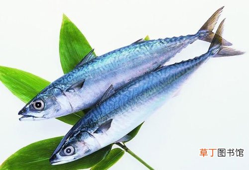 鲅鱼的营养价值及功效