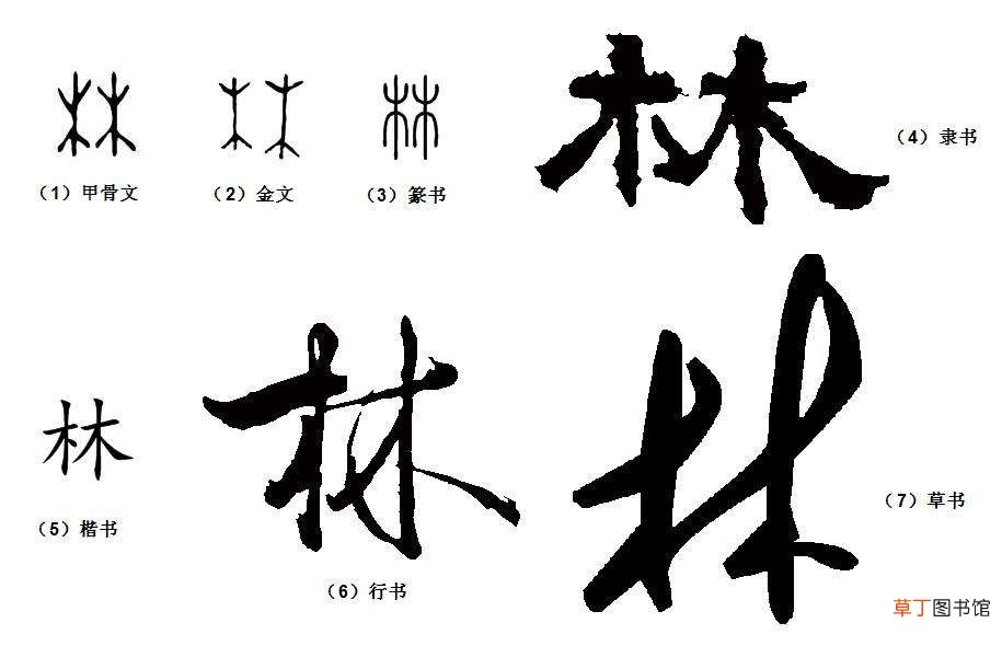 汉字的发展史