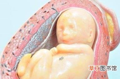 怀孕1个月孕囊有多大mm 怀孕多久看到孕囊